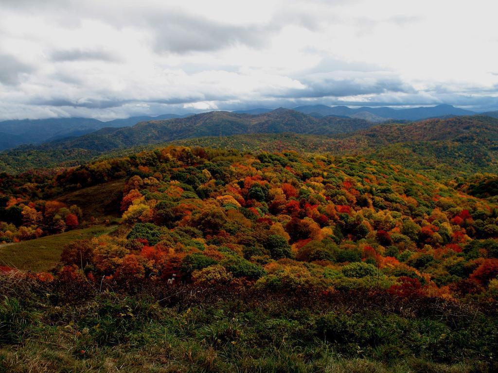 Hampton Inn Asheville - Biltmore Area Bagian luar foto